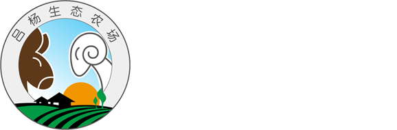 alternative